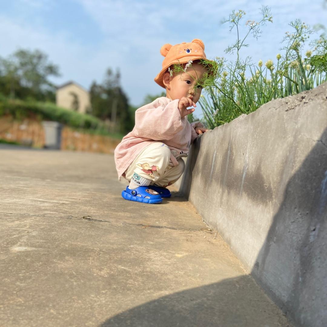 小鱿鱼🦑