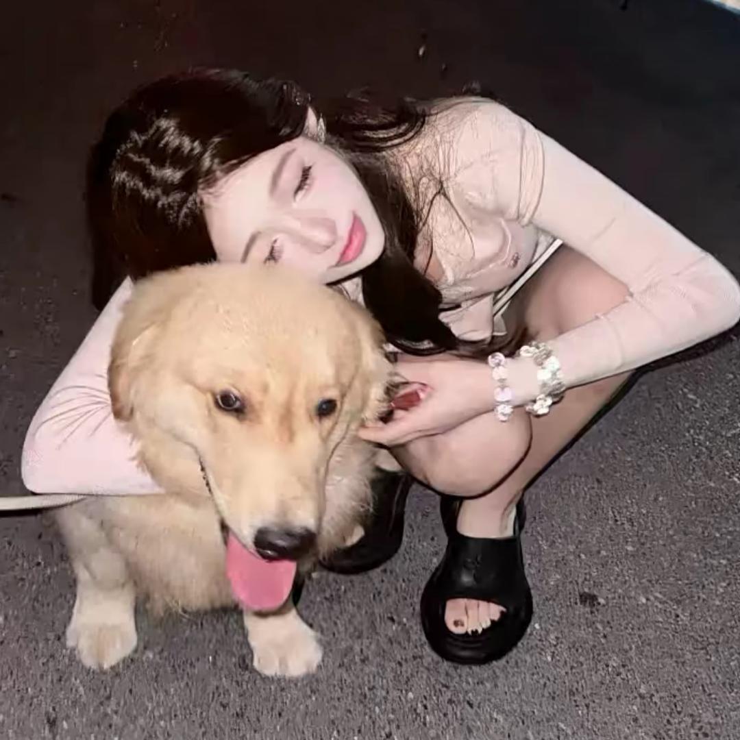 ㅤㅤㅤㅤㅤ咩咩