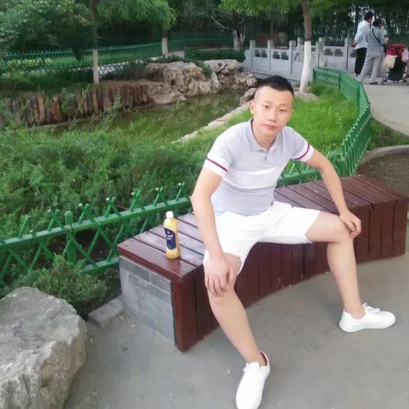 一只傻海棠