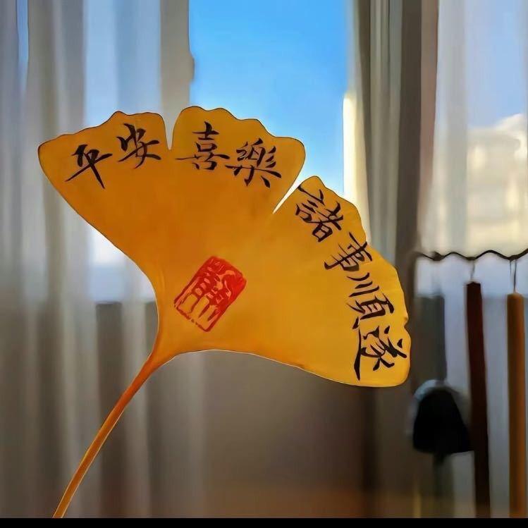 正在暴富暴瘦👧八姐姐