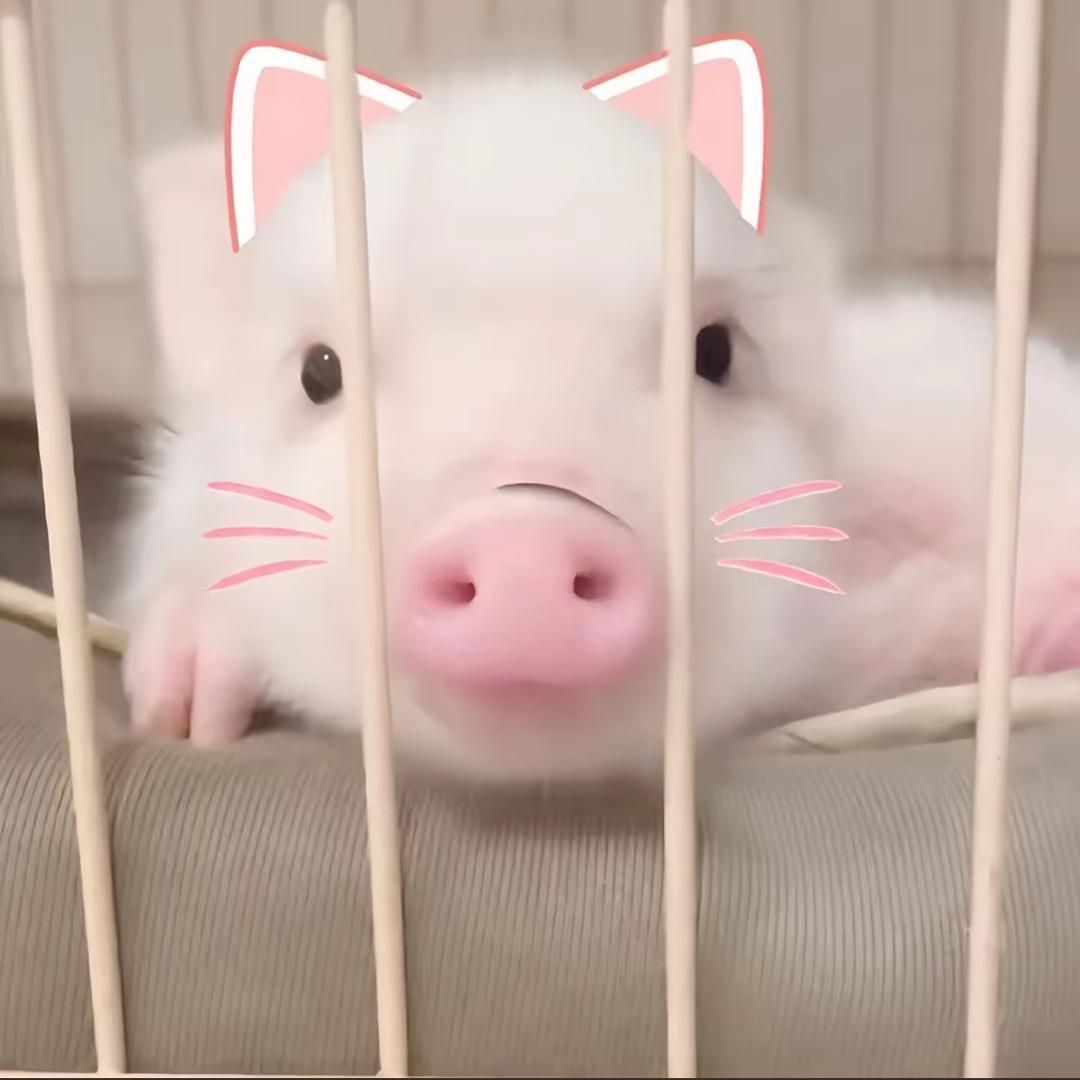 我私信被封了加我