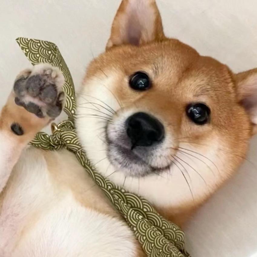 香辣小葵