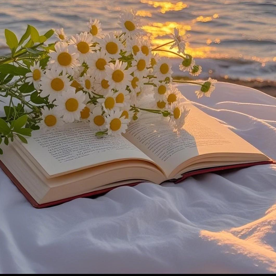 升学规划安安老师-壹点