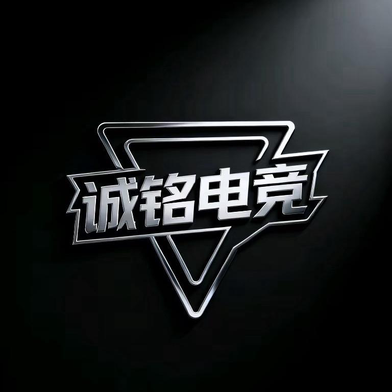 诚铭电竞（三角州行动）