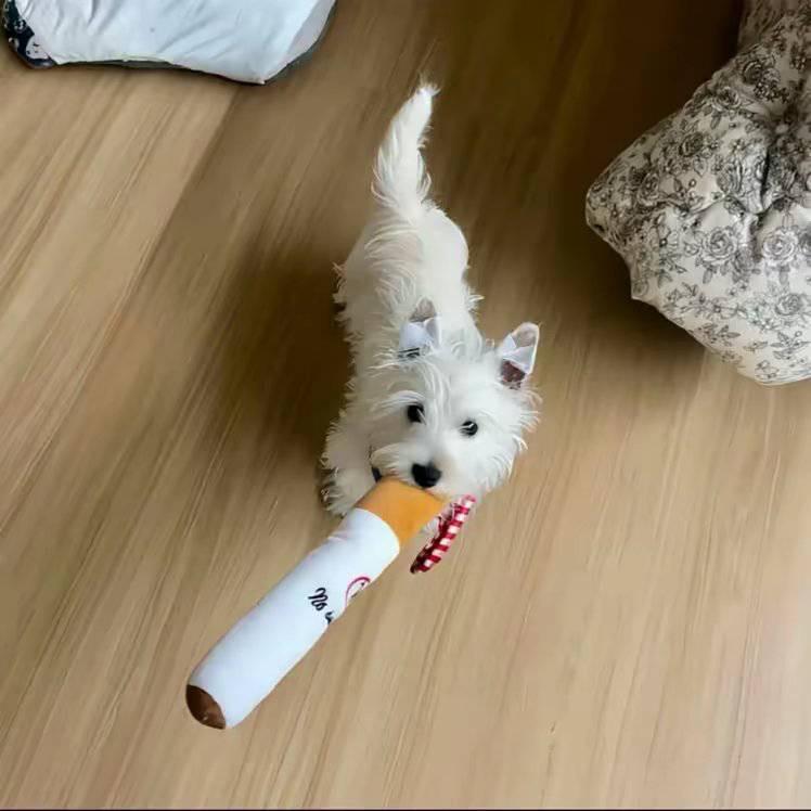想睡觉