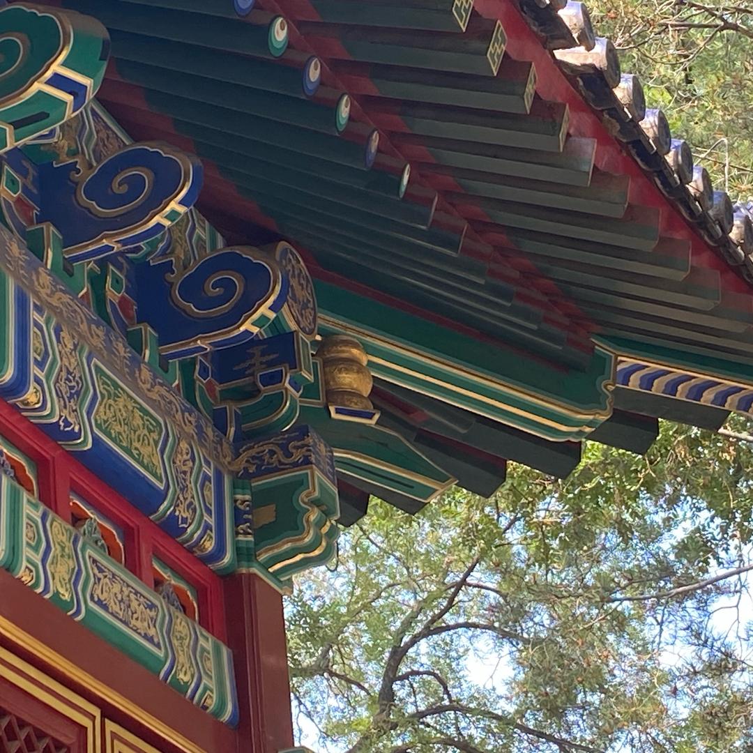 张富贵（谢谢关注）