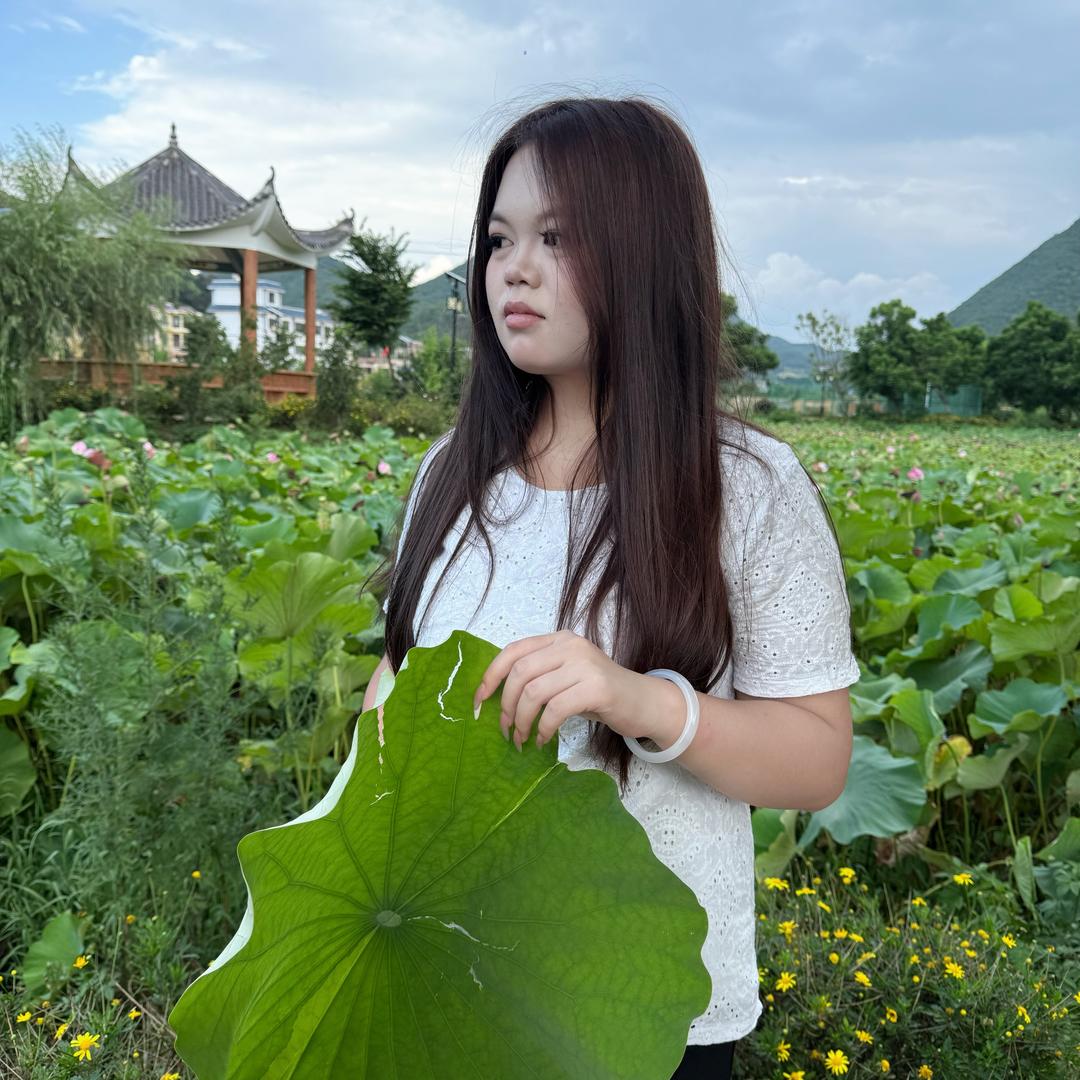 菲菲呀