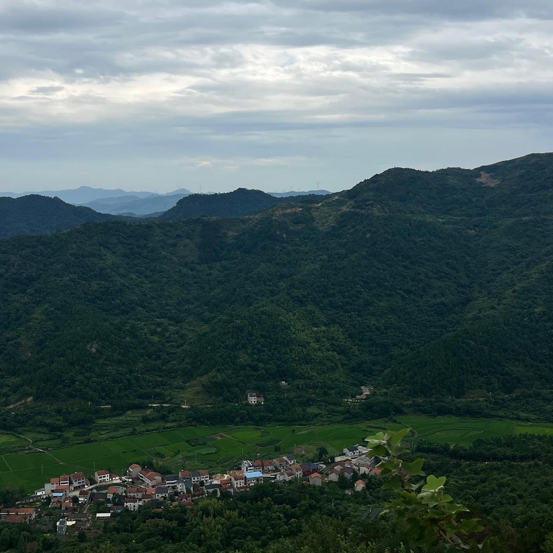 小杨哥（融心团队）