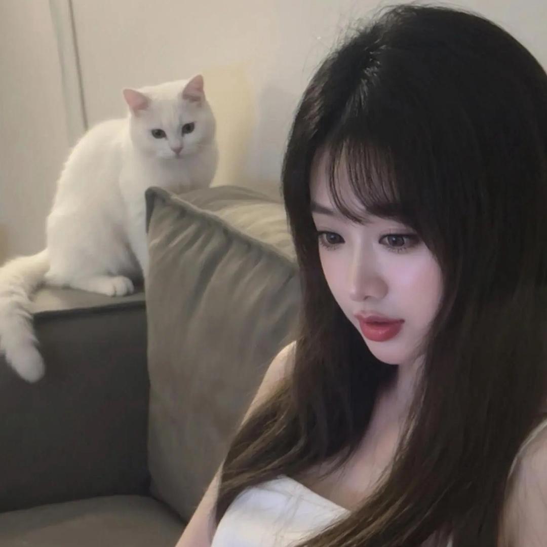 Yer～🐱