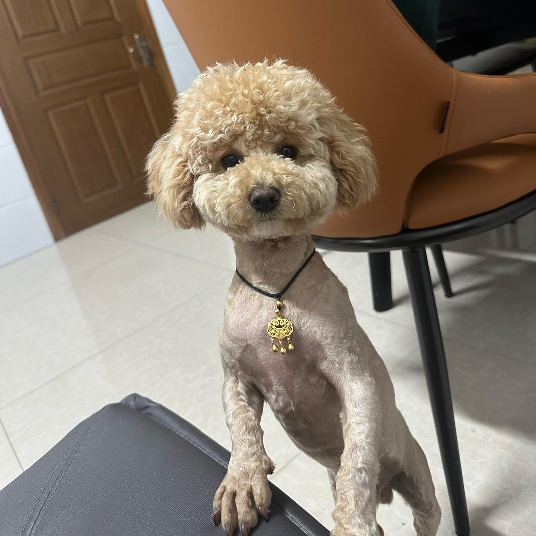 张家港市华德机械科技有限公司