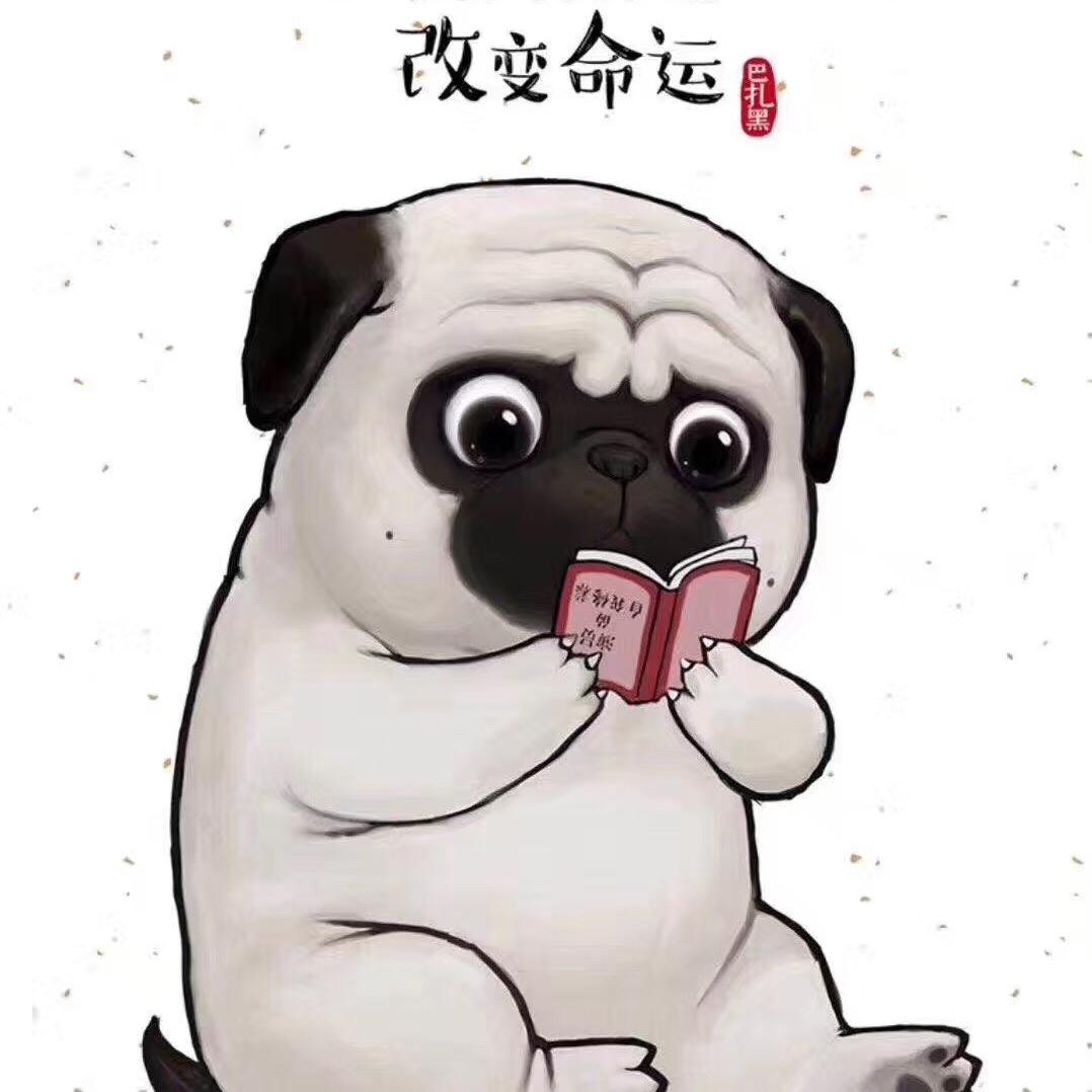 CC小马哥