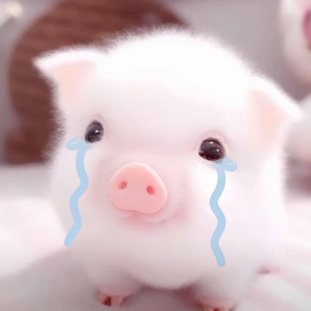 Koko