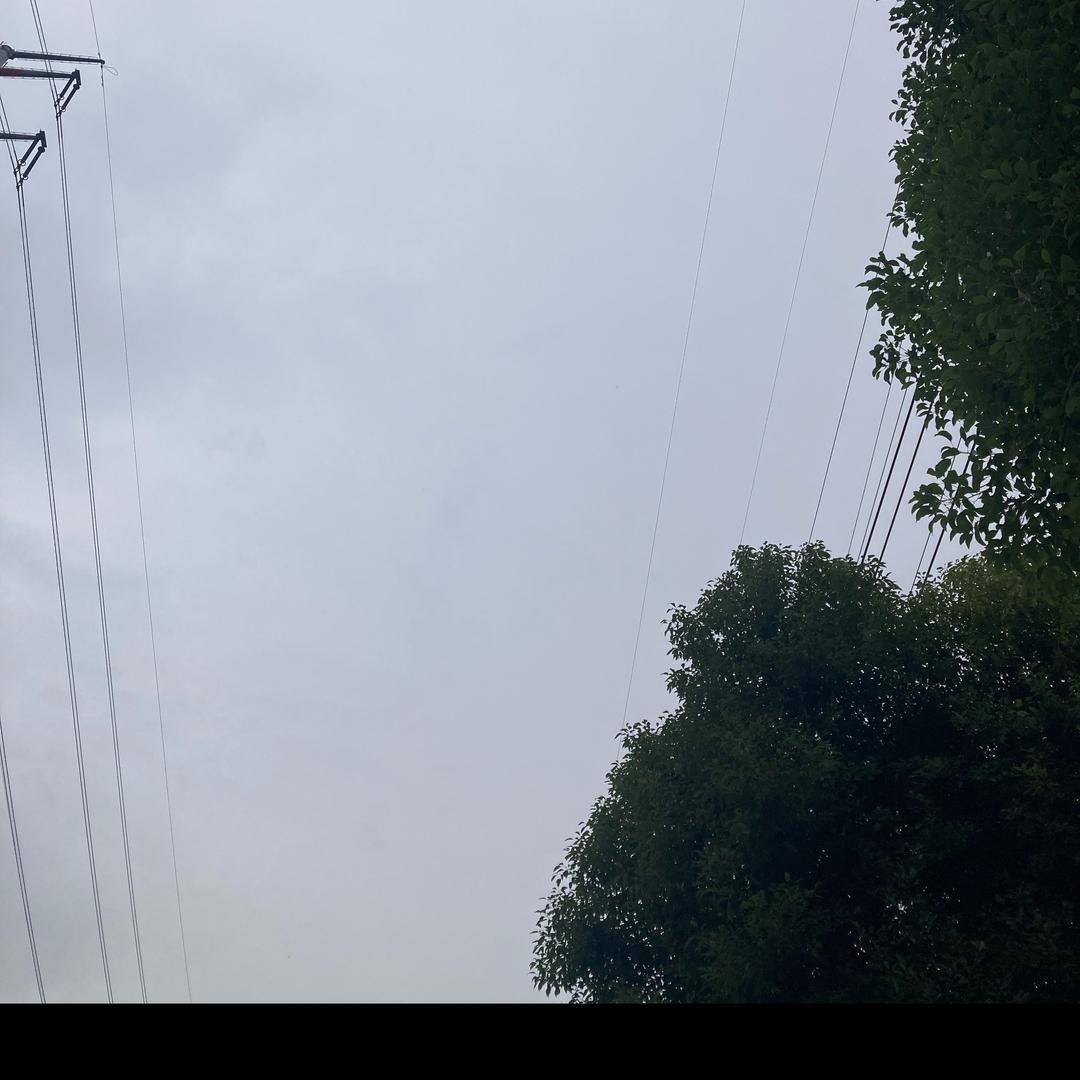 沧月