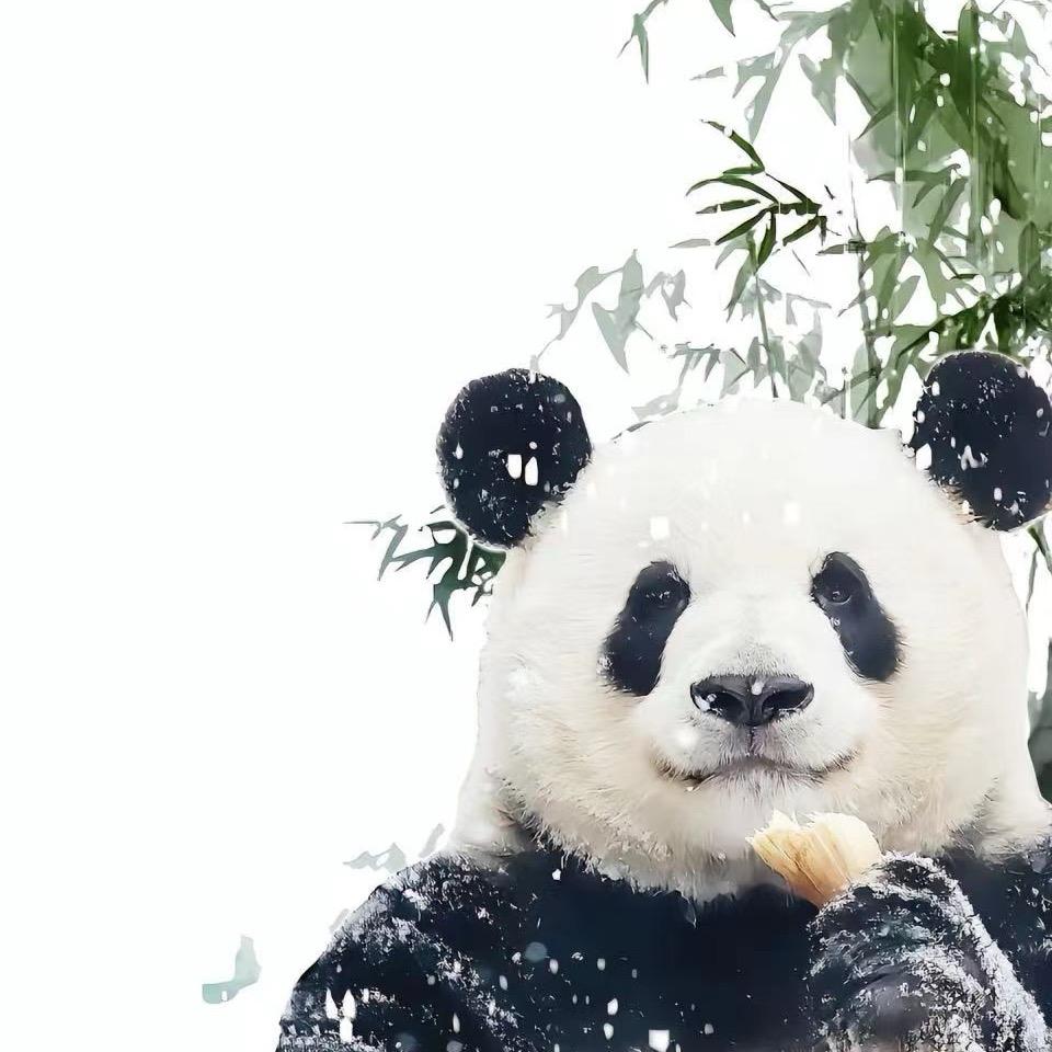 青团公主🐼