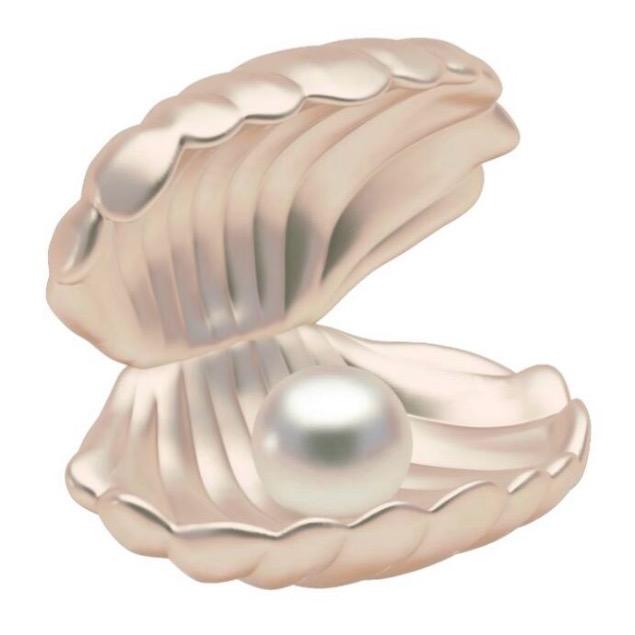 ：🐚