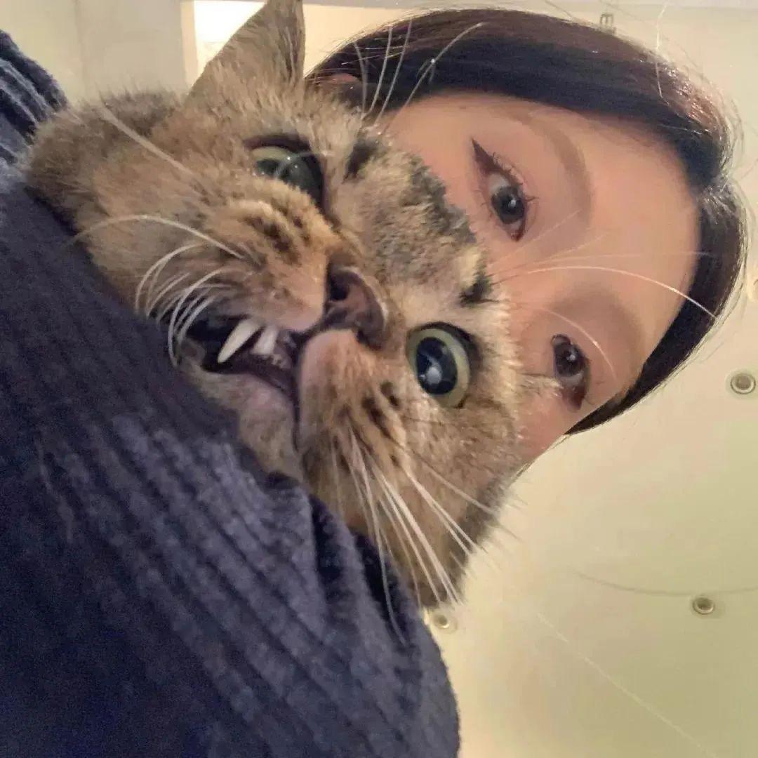 灰灰🧿