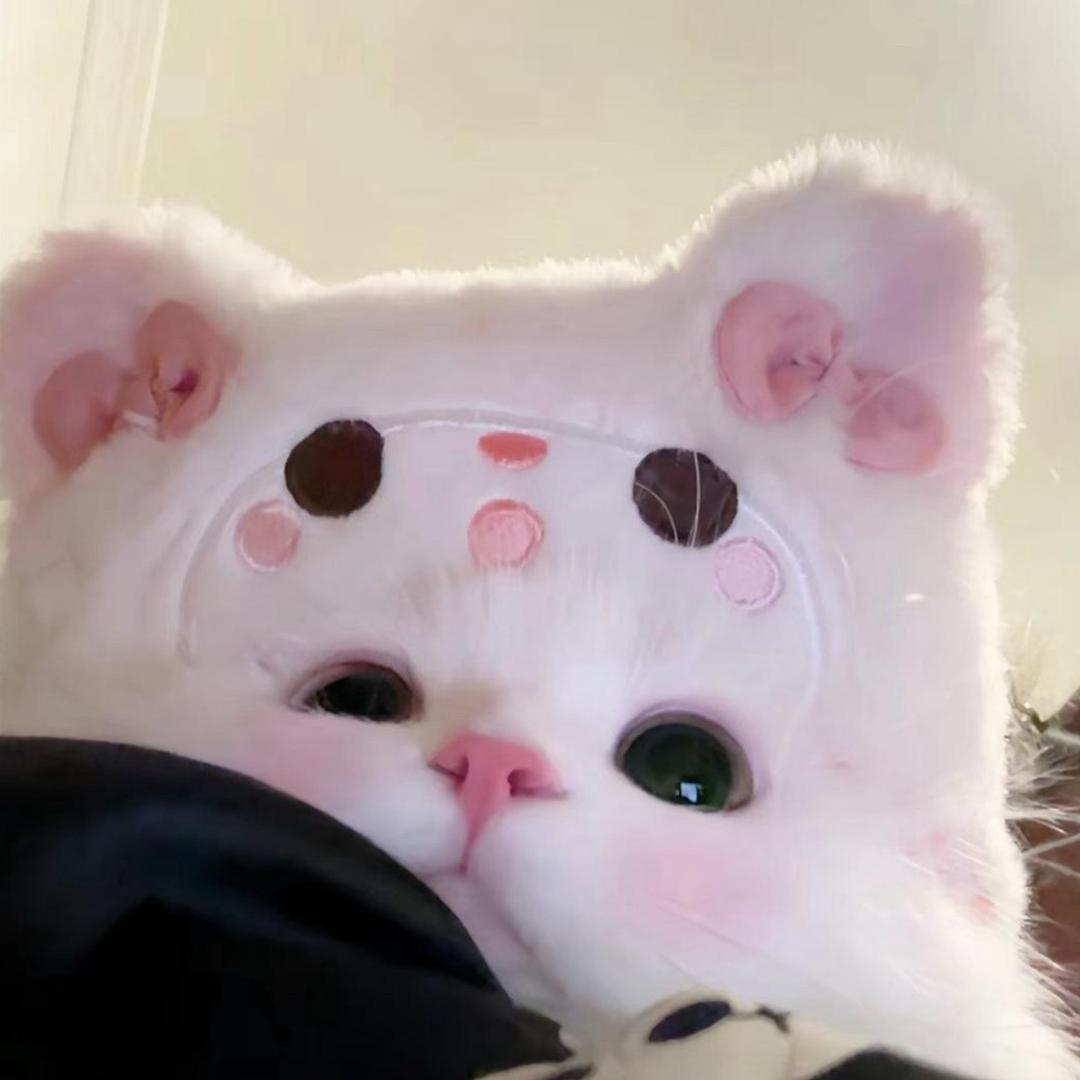 咪咪☆