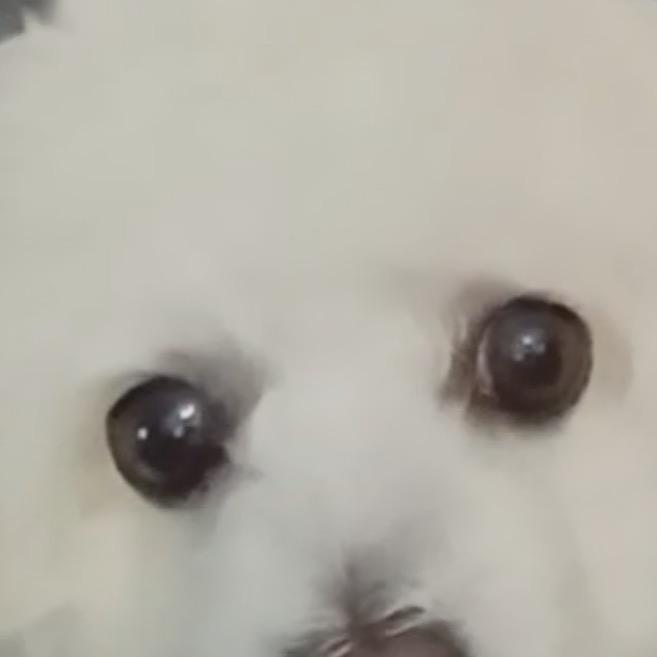gdjlauw66