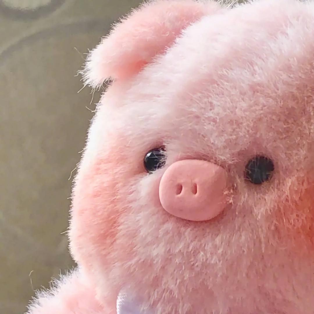 肉圆子