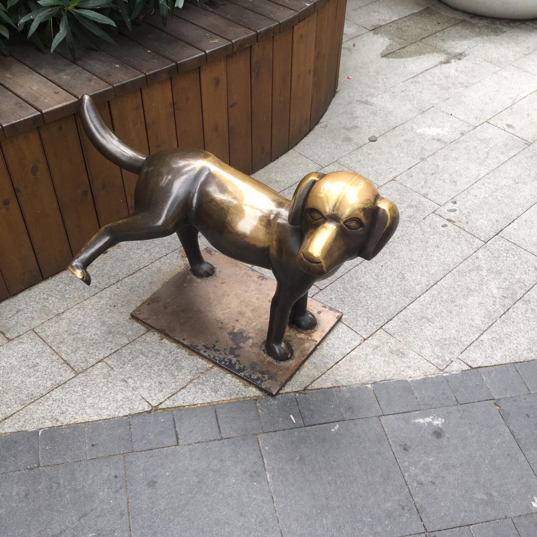 骑驴找马