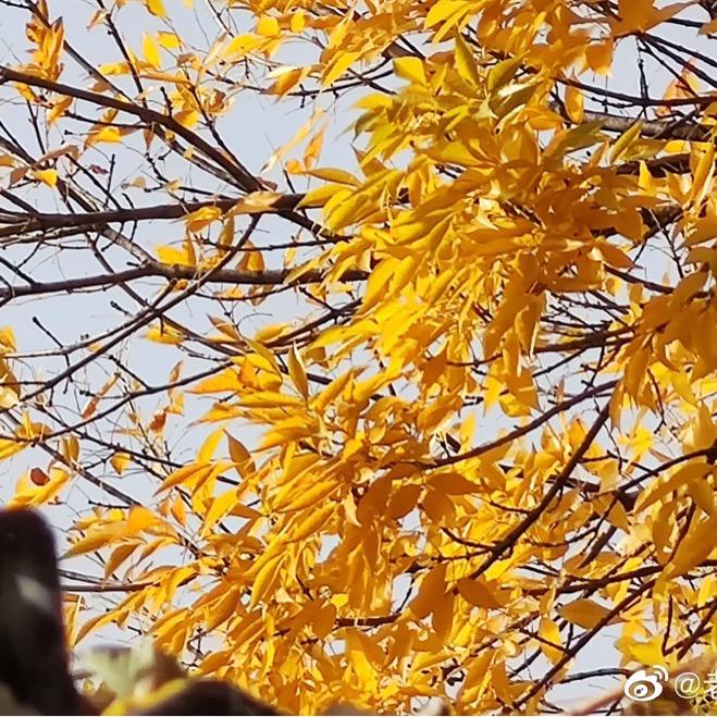 手机用户95484996304