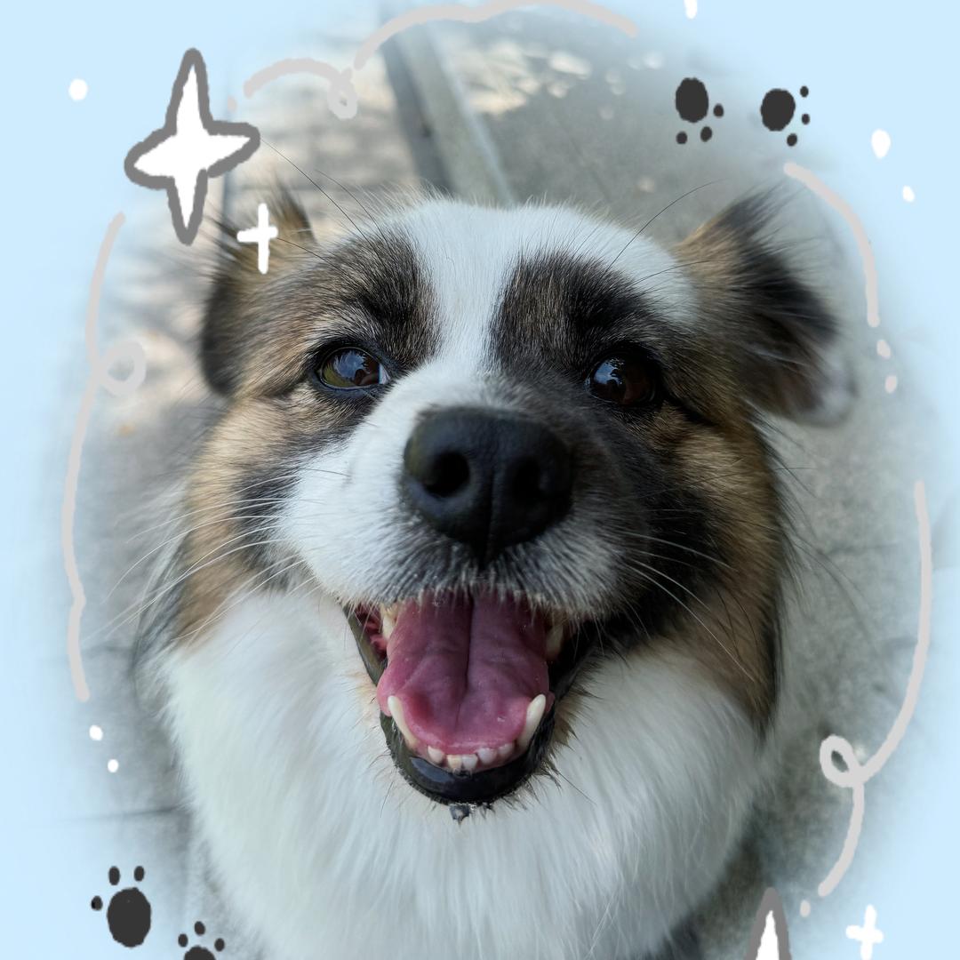 你小点声我布隆