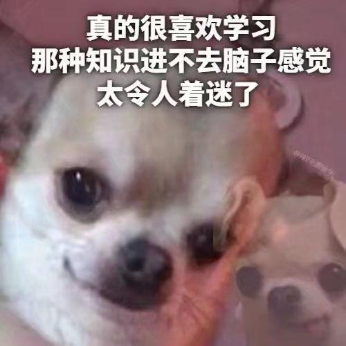 雪蜜殇·欣痛到微笑