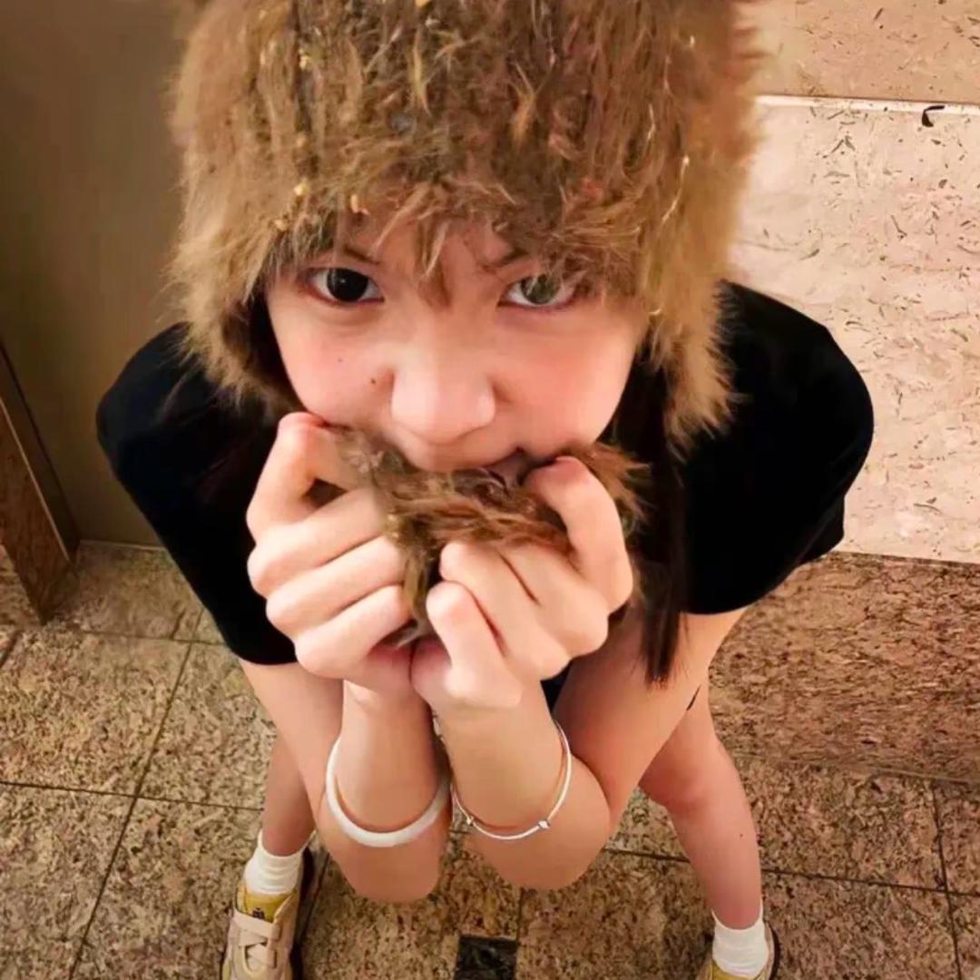 懒羊🐑