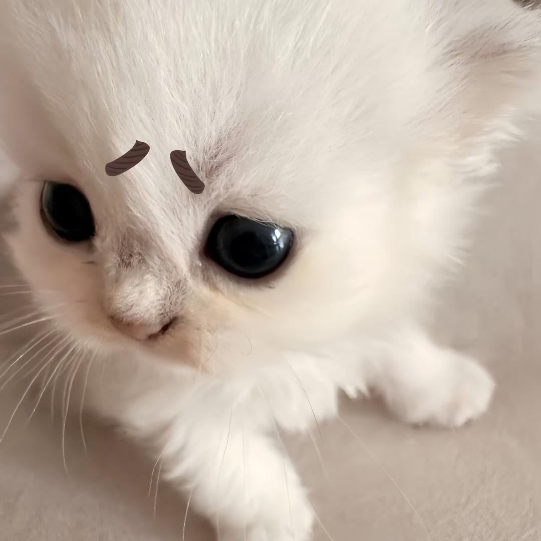 月亮与六便士