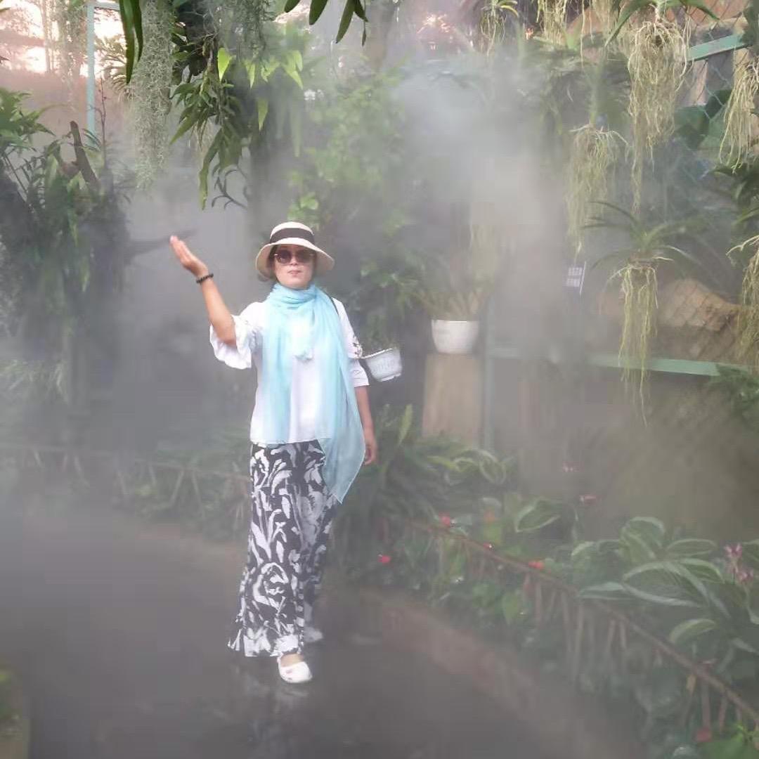 日出