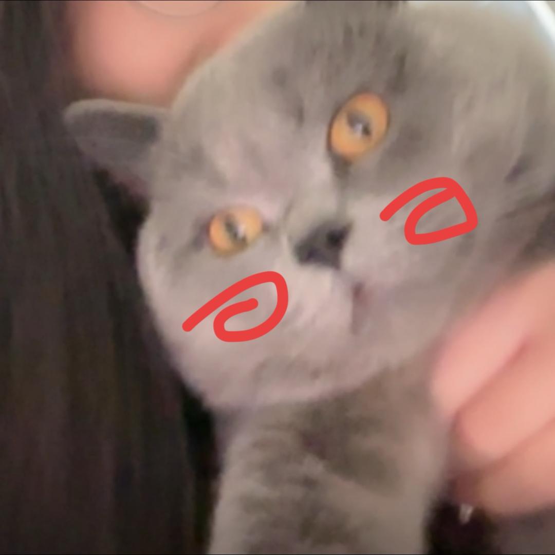 被猪拱的大白蔡🥬