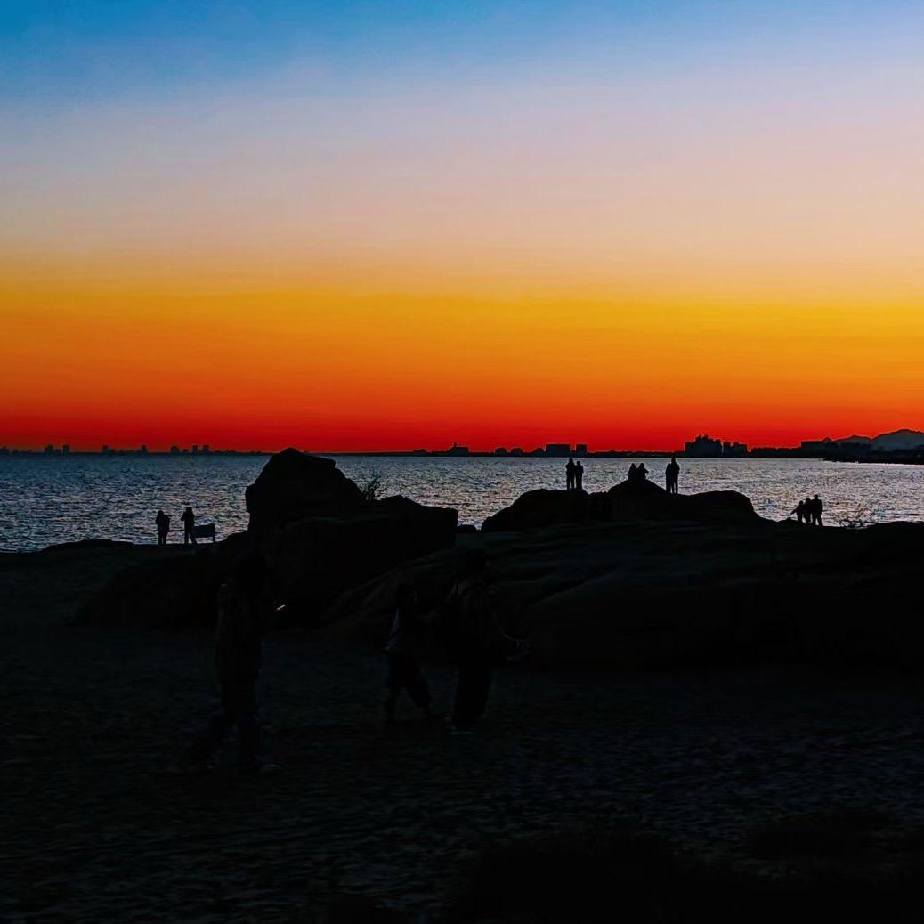 何以解忧唯有…