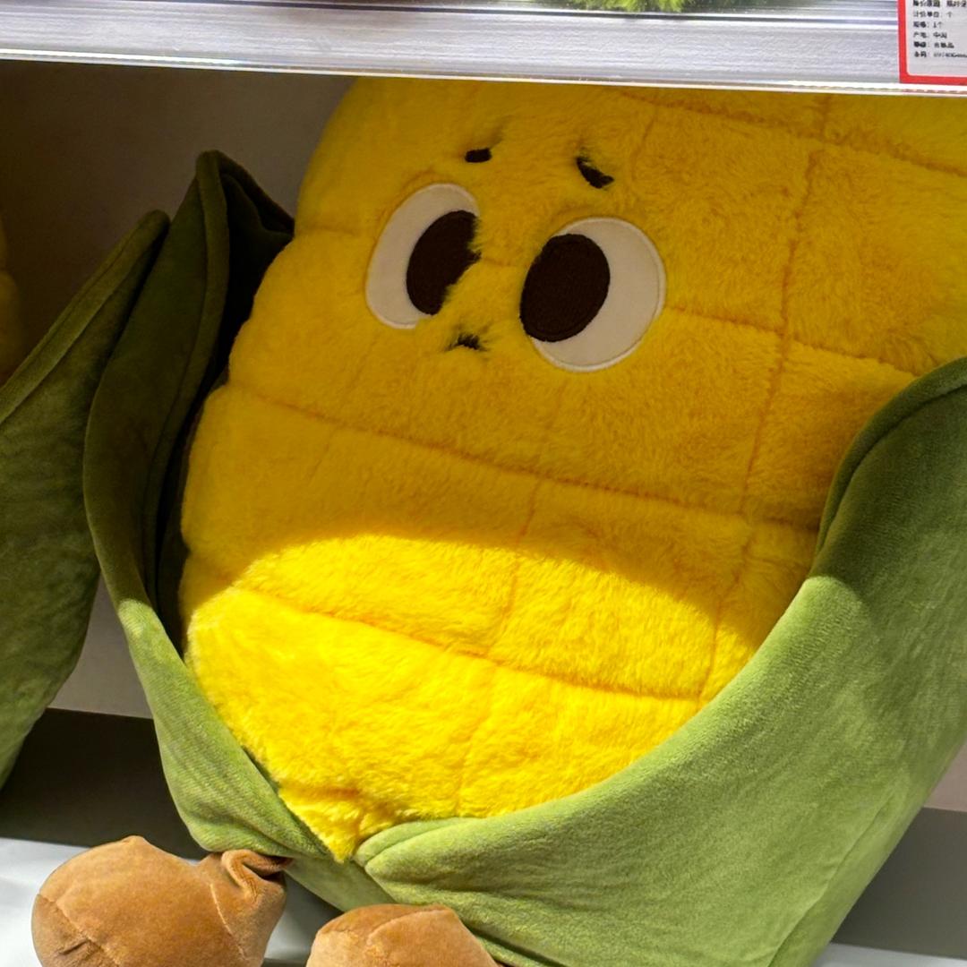 装少爷被打