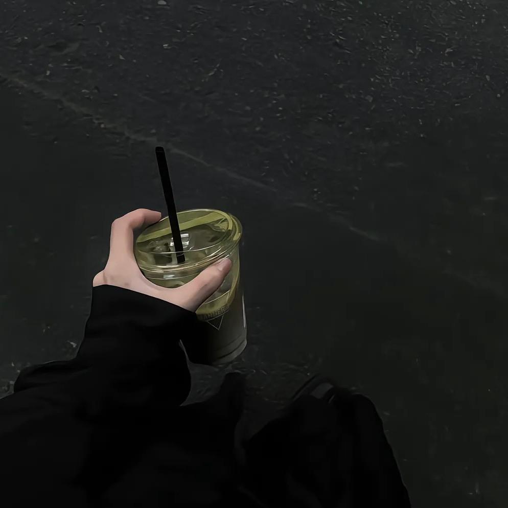 流浪动物