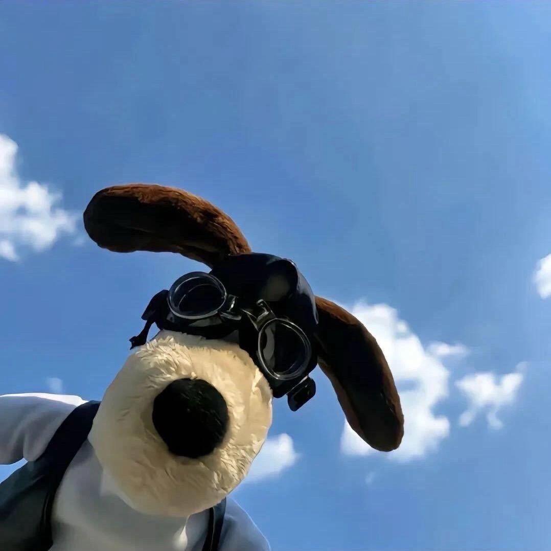 阿康（金铲铲之战）