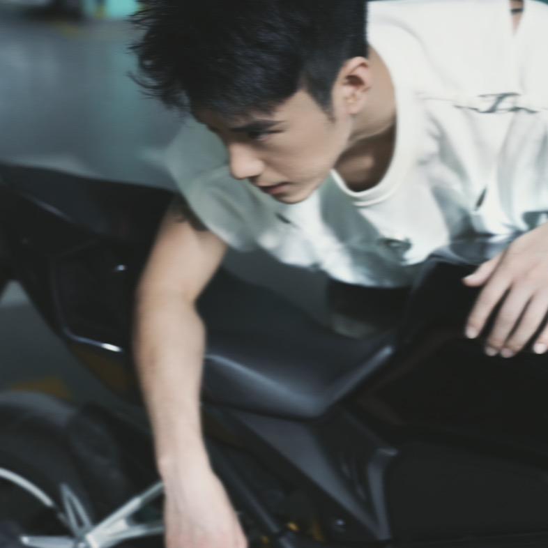 18-杨杨🐑
