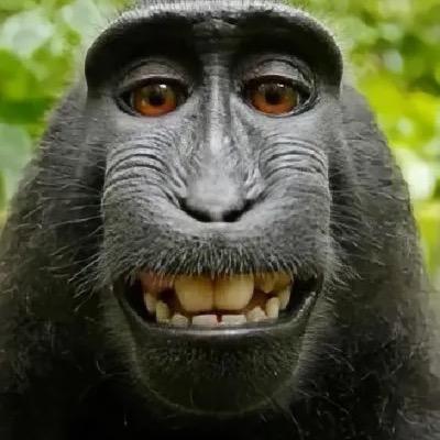 水枪装尿，呲谁谁叫！