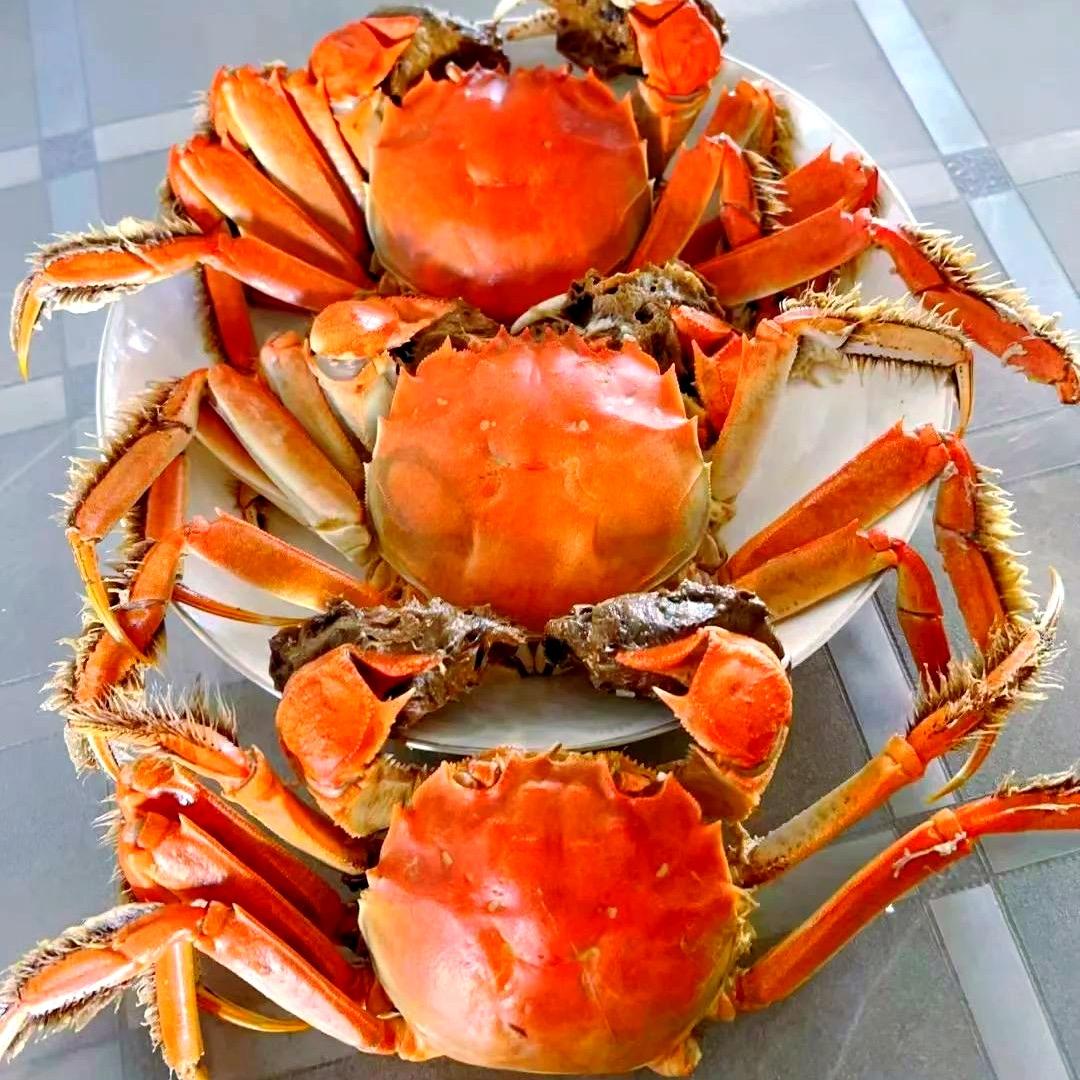 小慧稻田蟹