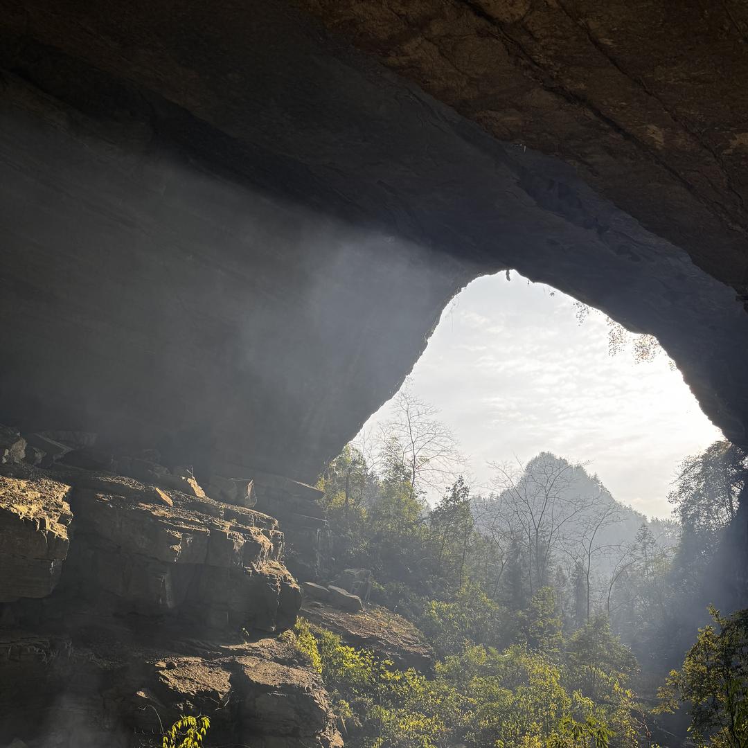 王厂长恩施鹤峰农副优选