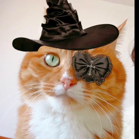 肥仔的快乐生活