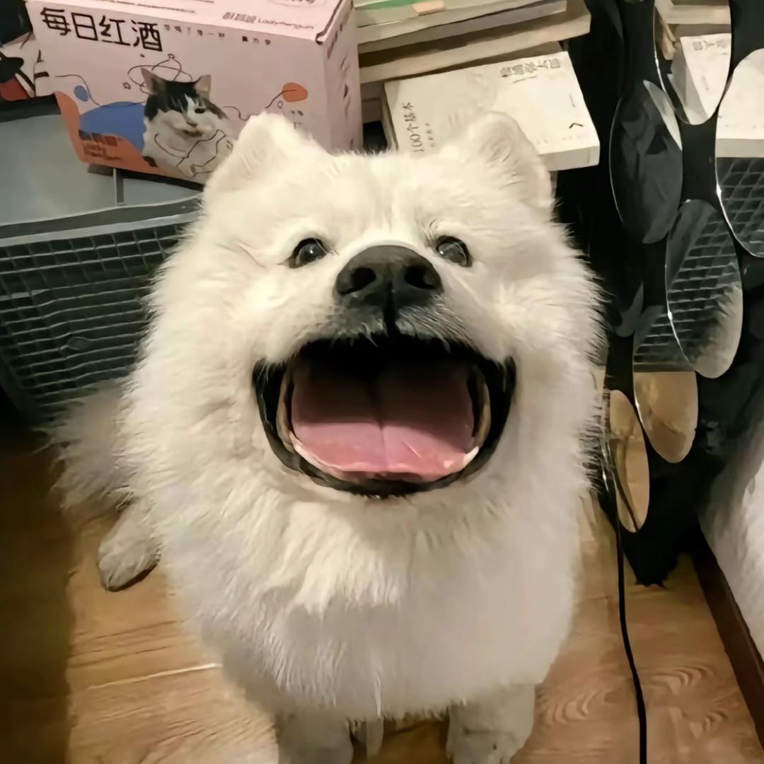 玹.