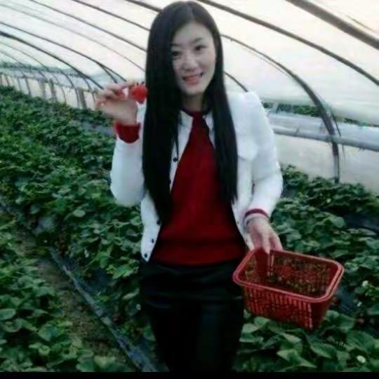🌷《百兩荷花》🌷《618 》