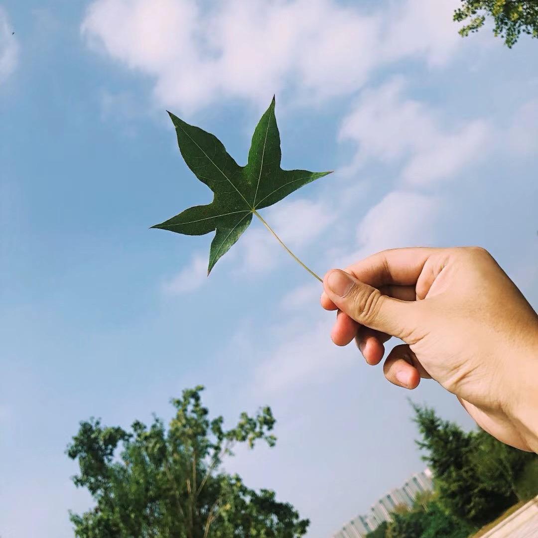 文道师兄