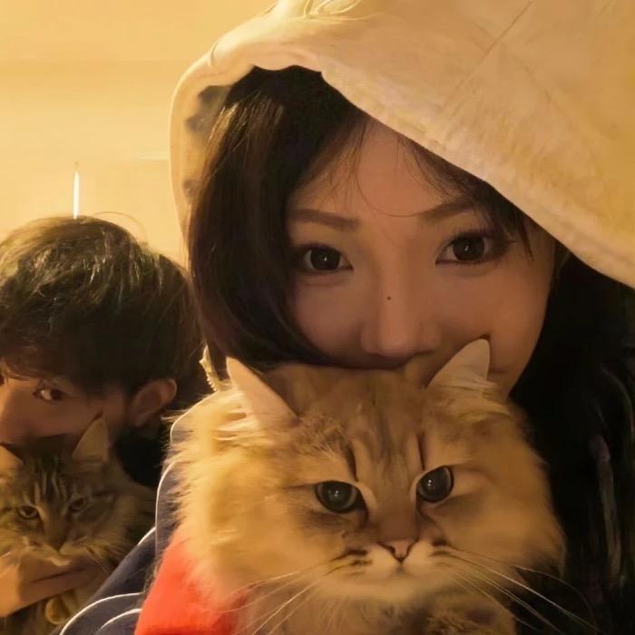 小鱼碗安an