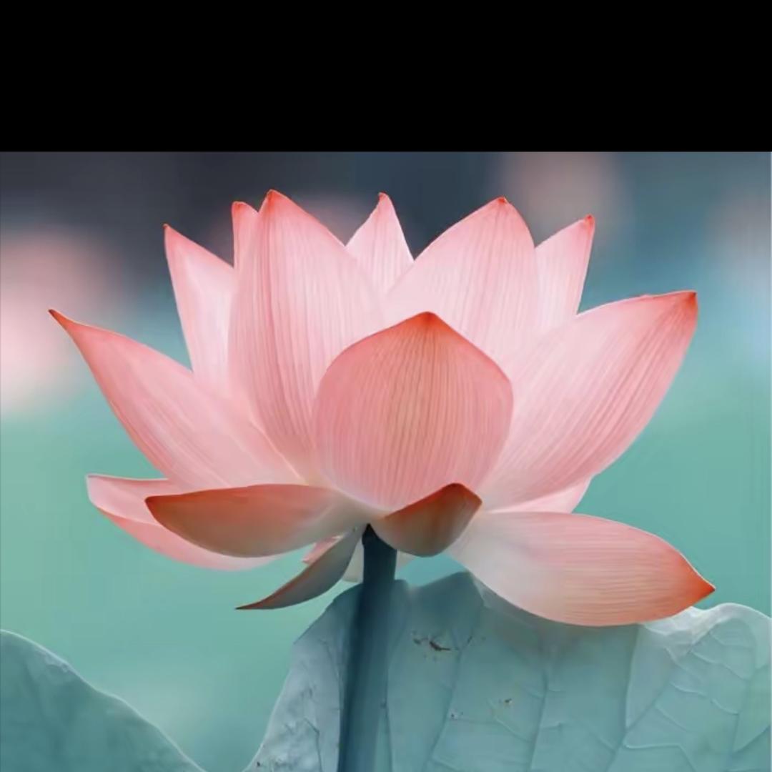 立州商贸集