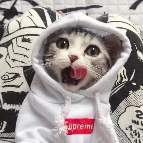 不想早睡