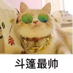 幻唐志-斗篷（神武）