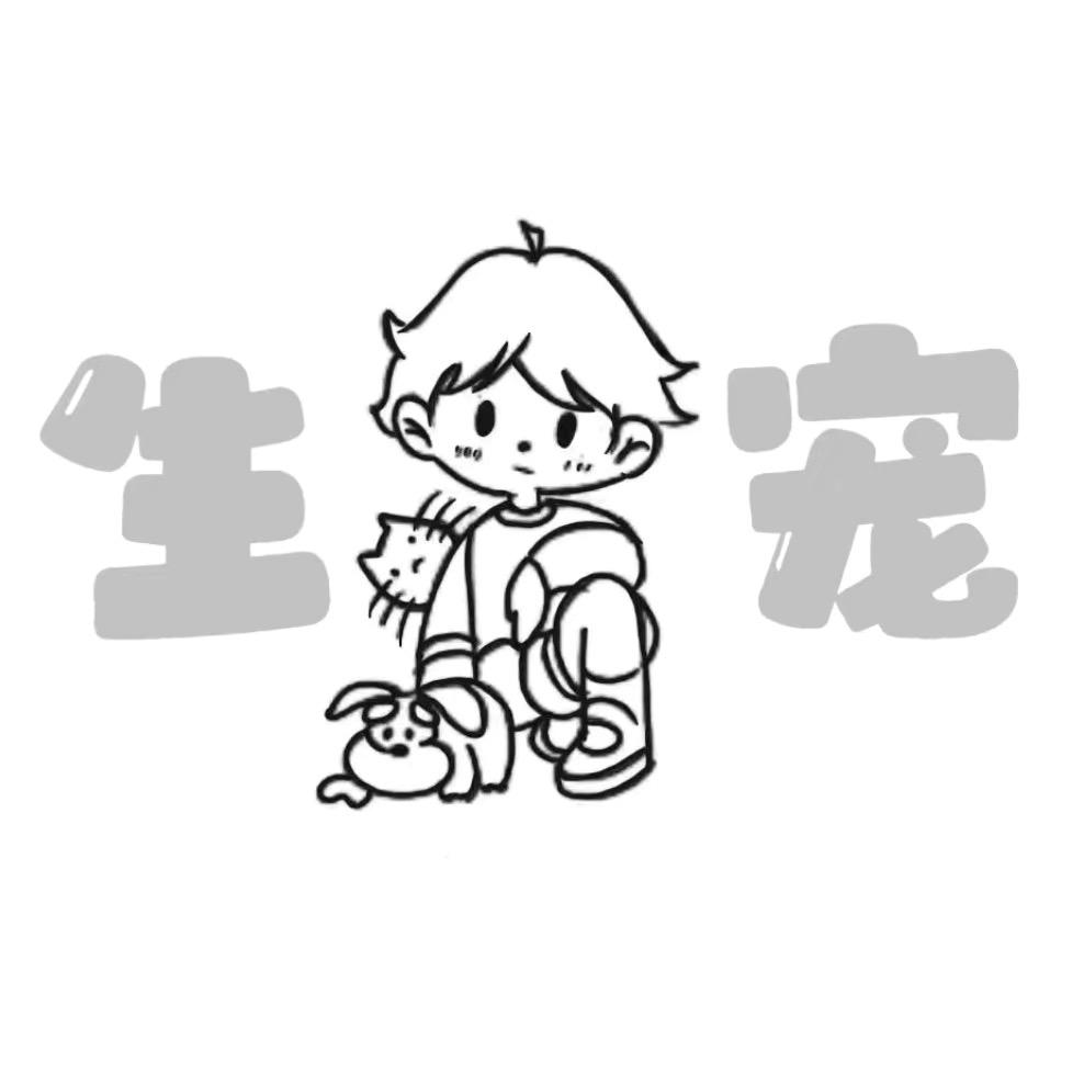 生宠猫砂