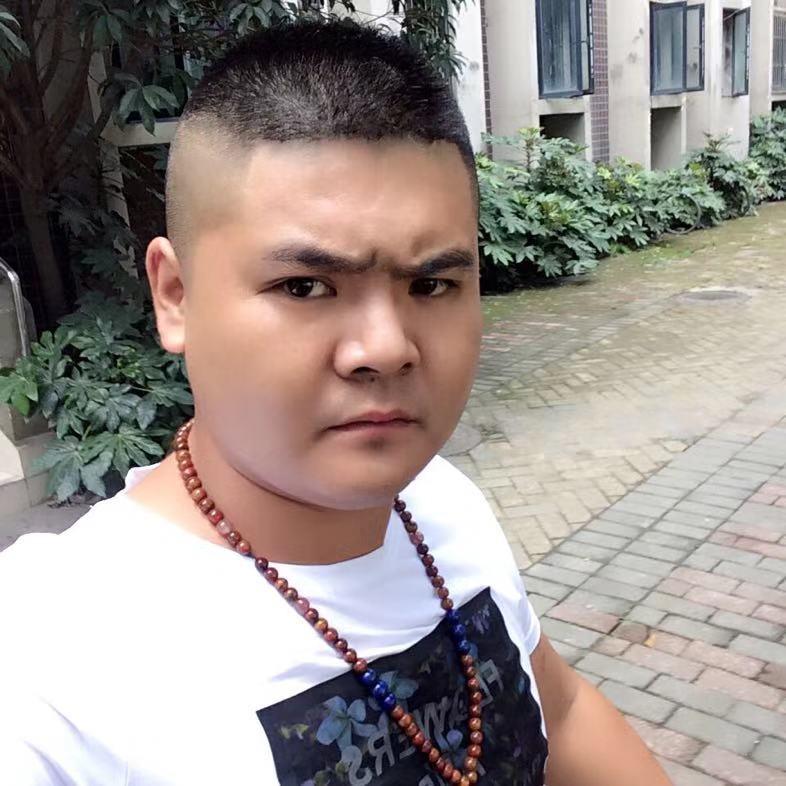 杨杨