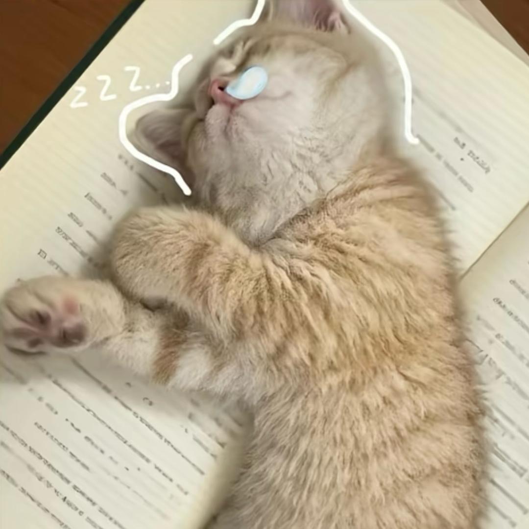 忧郁的小猫猫💤💤